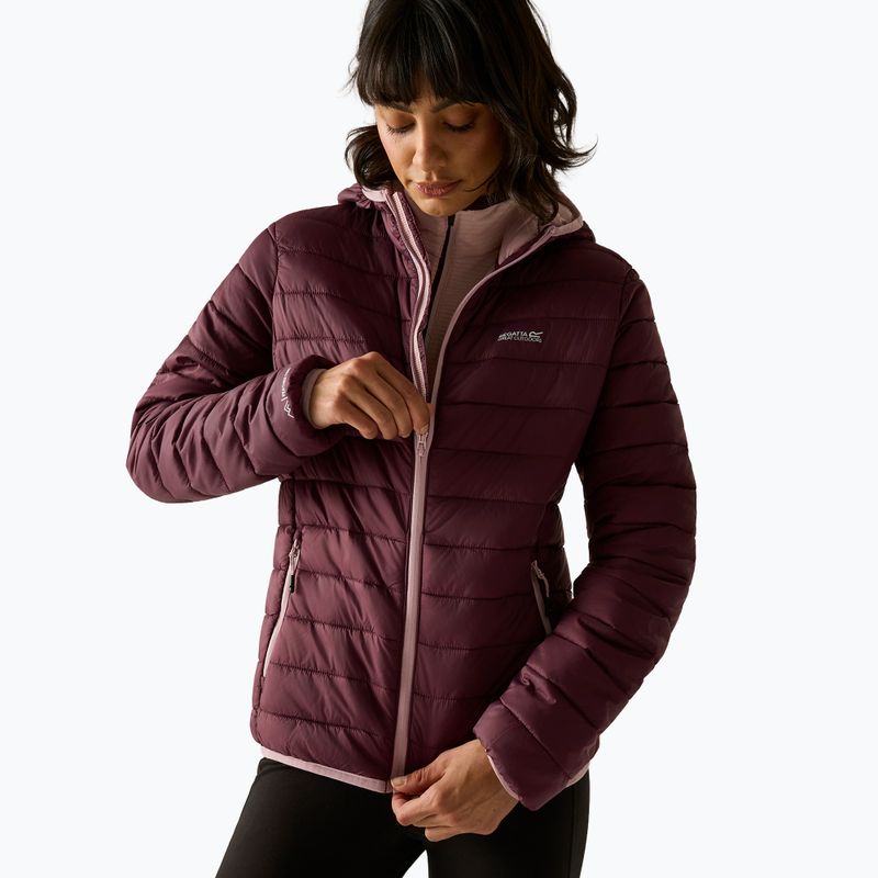 Damen-Daunenjacke Regatta Hooded Marizion fig