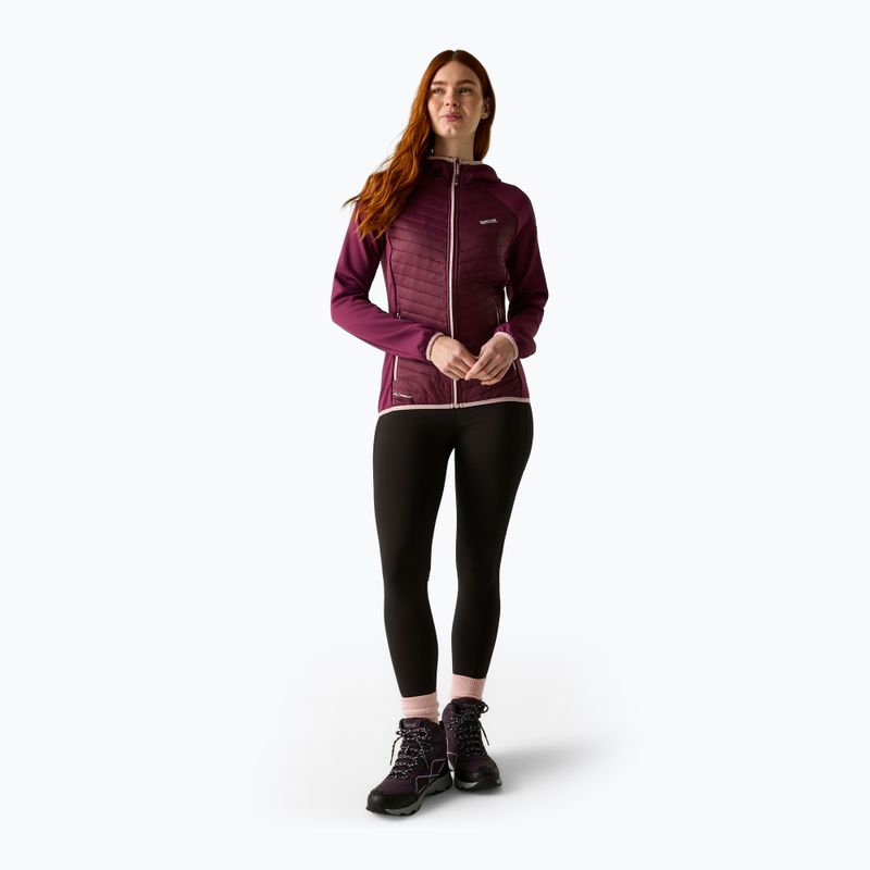 Damen-Hybridjacke REGATTA Andreson Hybrid fig 2
