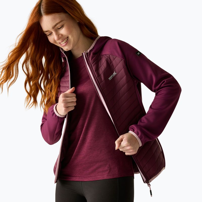 Damen-Hybridjacke REGATTA Andreson Hybrid fig 5