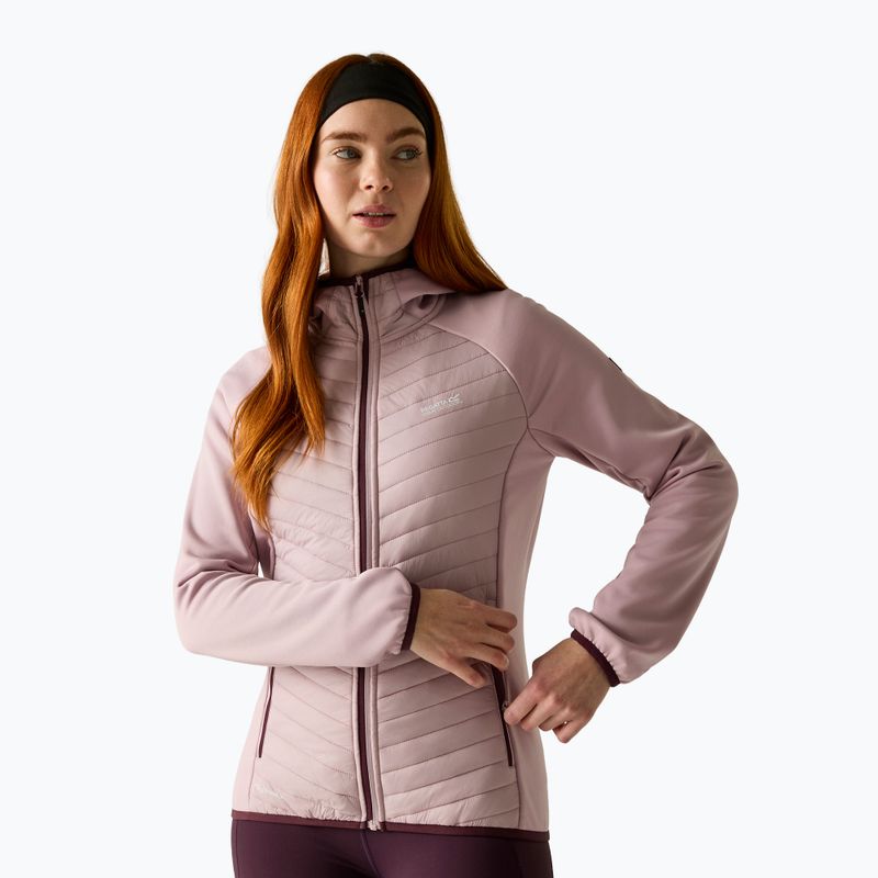 Damen-Hybridjacke REGATTA Andreson Hybrid powder lilac /fig
