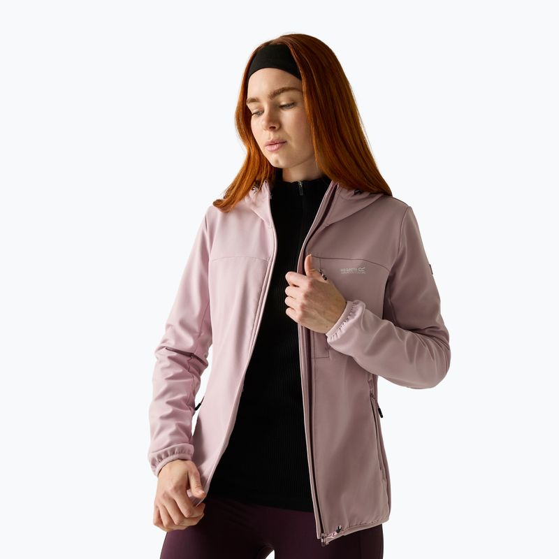 Damen-Softshelljacke REGATTA Ossek powder lilac 3