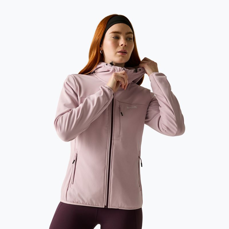 Damen-Softshelljacke REGATTA Ossek powder lilac 5