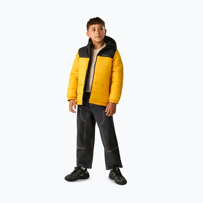 Gefütterte Kinderjacke REGATTA Lofthouse black/mustard 2