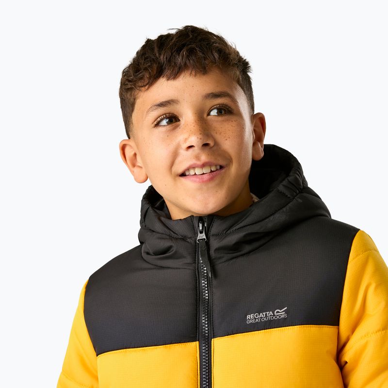 Gefütterte Kinderjacke REGATTA Lofthouse black/mustard 7