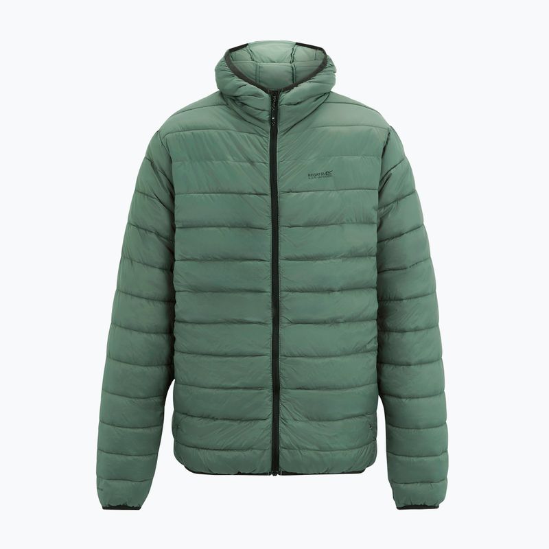Herren-Daunenjacke REGATTA Hooded Marizion dark forest green