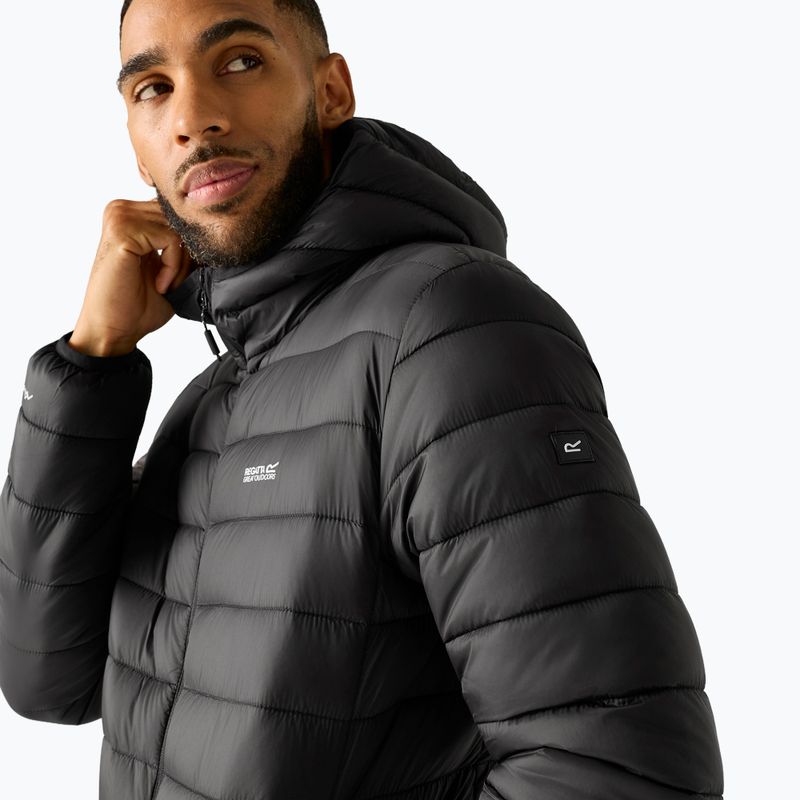 Herren-Daunenjacke REGATTA Hooded Marizion black/burnt henna 5