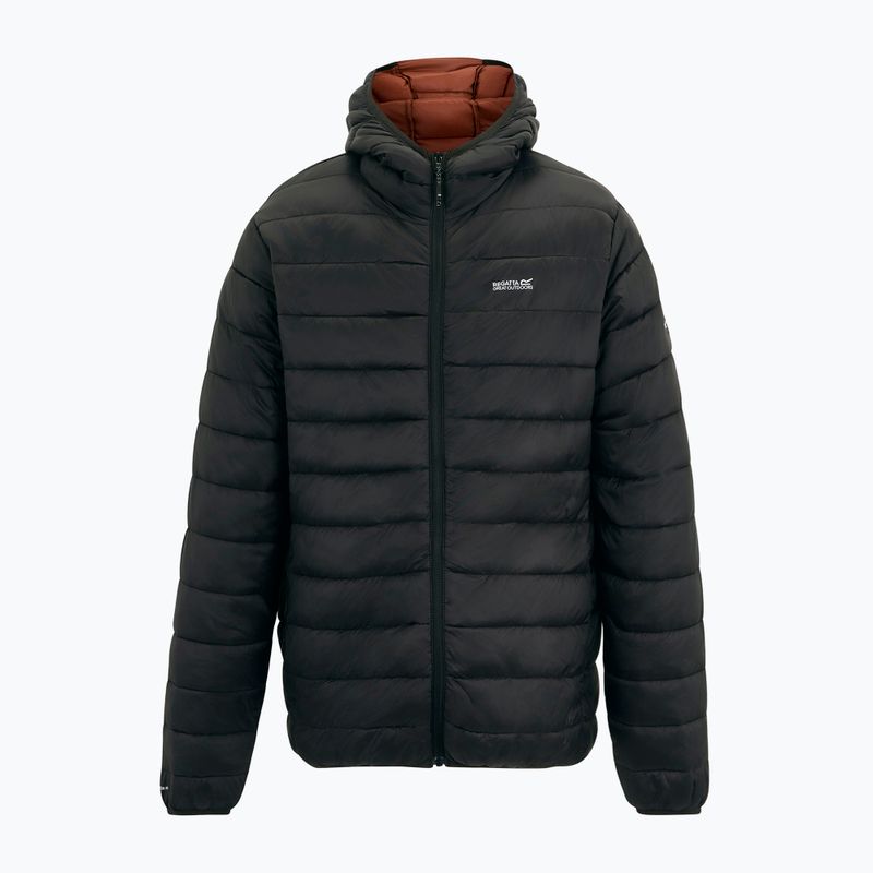 Herren-Daunenjacke REGATTA Hooded Marizion black/burnt henna 9