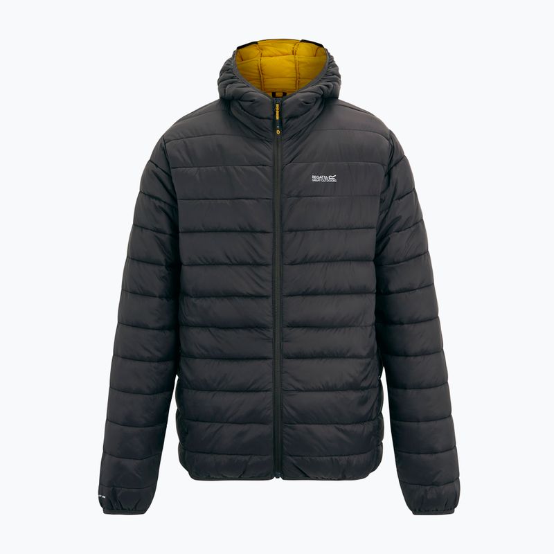 Herren-Daunenjacke Regatta Hooded Marizion ash/sunset