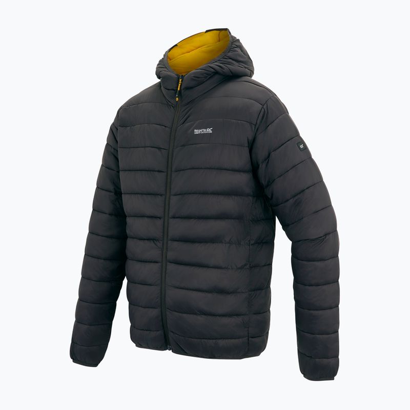 Herren-Daunenjacke Regatta Hooded Marizion ash/sunset 3