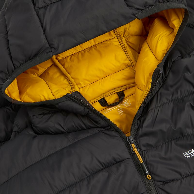Herren-Daunenjacke Regatta Hooded Marizion ash/sunset 4