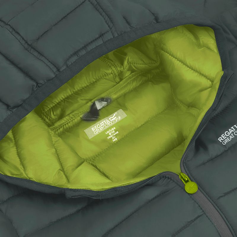 Daunenjacke für Kinder REGATTA Hooded Marizion dark forest green/wild lime 17