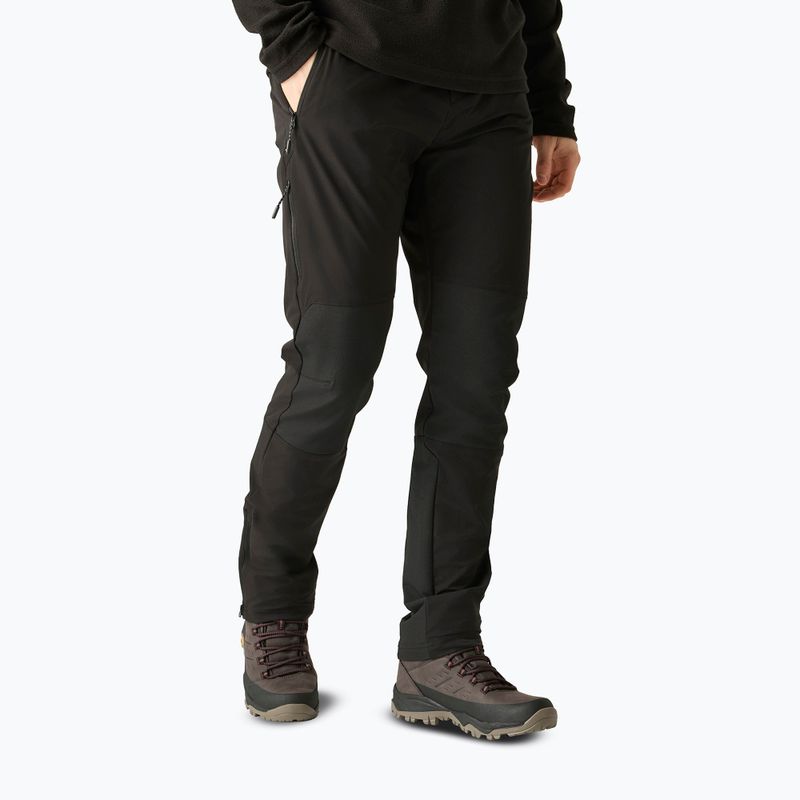 Herren-Trekkingstiefel REGATTA Blake peat/burnt henna 6