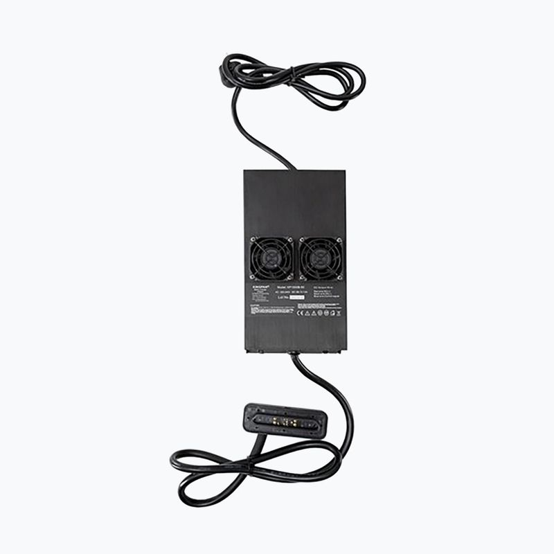Radinn Standard-Ladegerät EU KP schwarz 910024AA