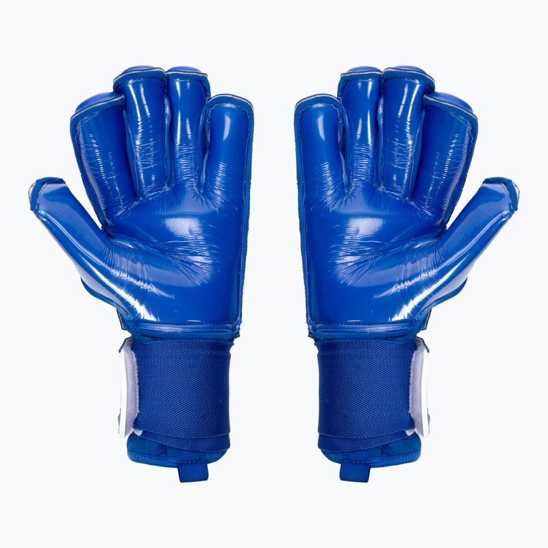 Torwarthandschuhe RG Snaga Aqua 21/22 blau 218 2