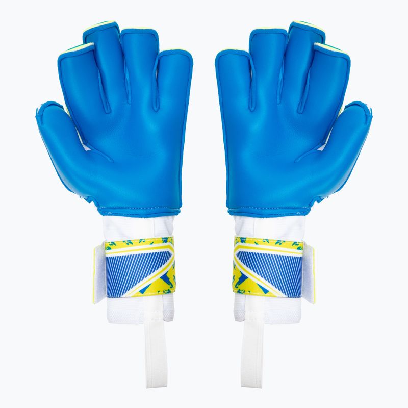 Torwarthandschuhe RG Onar blau-gelb ONAR217 2