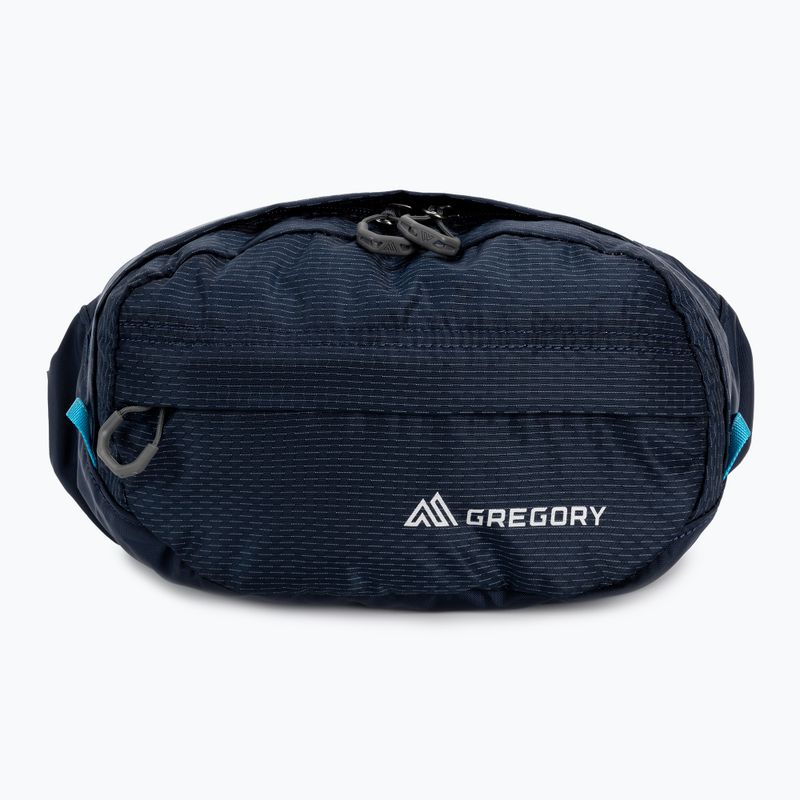 Gregory Nano Waistpack Hüfttasche navy blau 126861 3