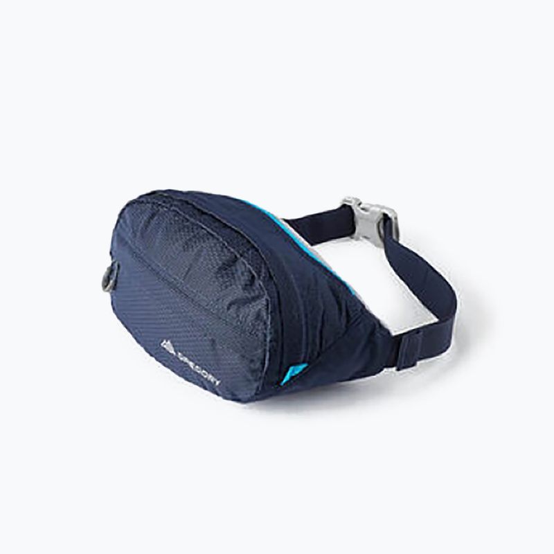 Gregory Nano Waistpack Hüfttasche navy blau 126861 9