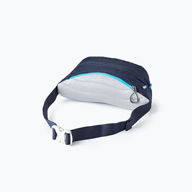 Gregory Nano Waistpack Hüfttasche navy blau 126861 10