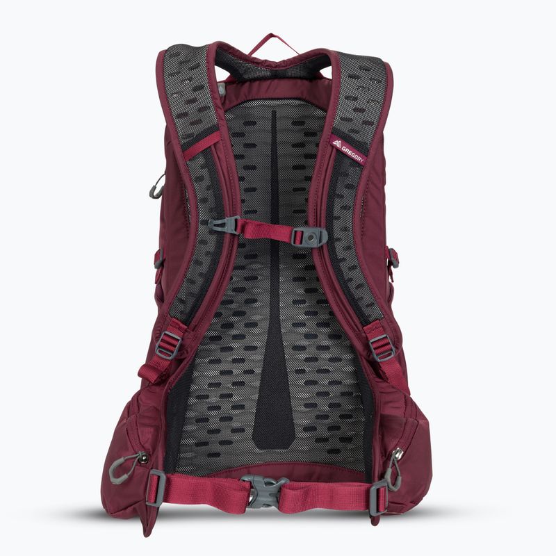 Gregory Kiro 22 l Amethyst lila Wanderrucksack 3