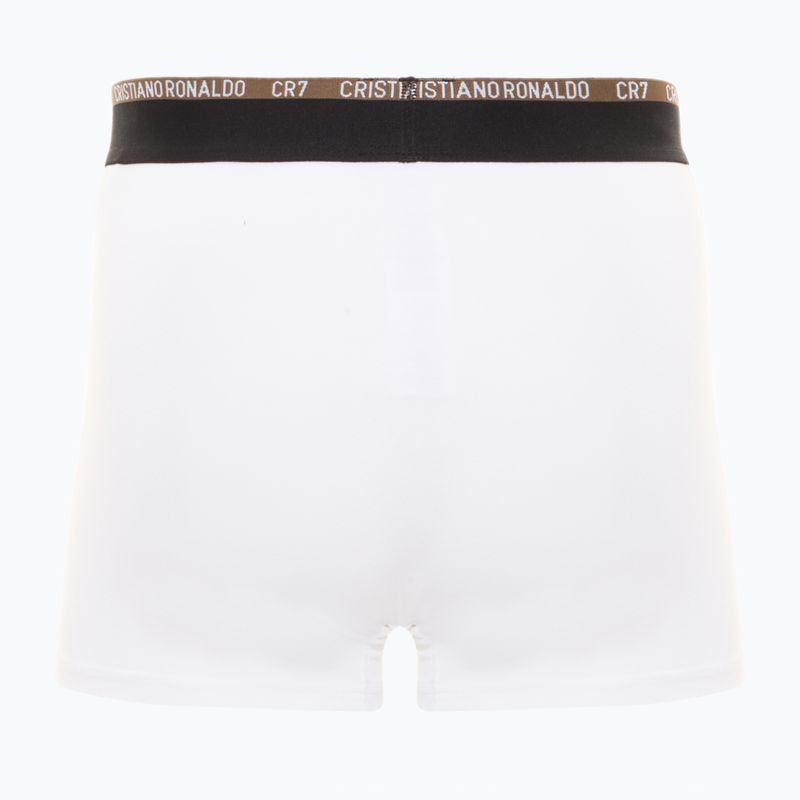 Boxershorts Herren CR7 Basic Trunk 10 Paar multicolur 5