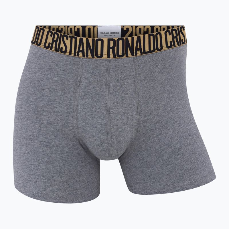 Herren Boxershorts CR7 Basic Trunk 4 Paar 2504 multicolor 5