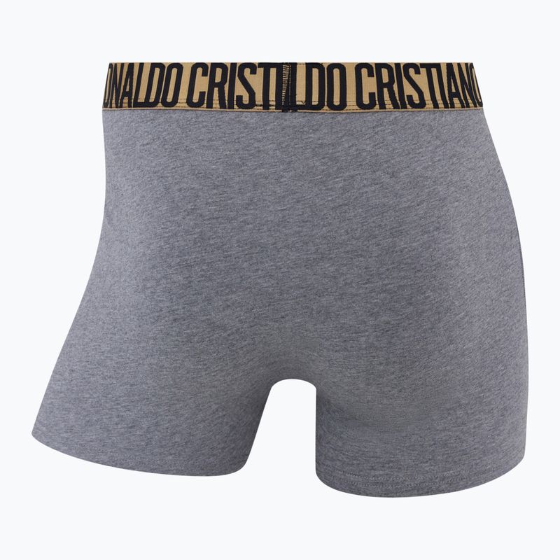 Herren Boxershorts CR7 Basic Trunk 4 Paar 2504 multicolor 6