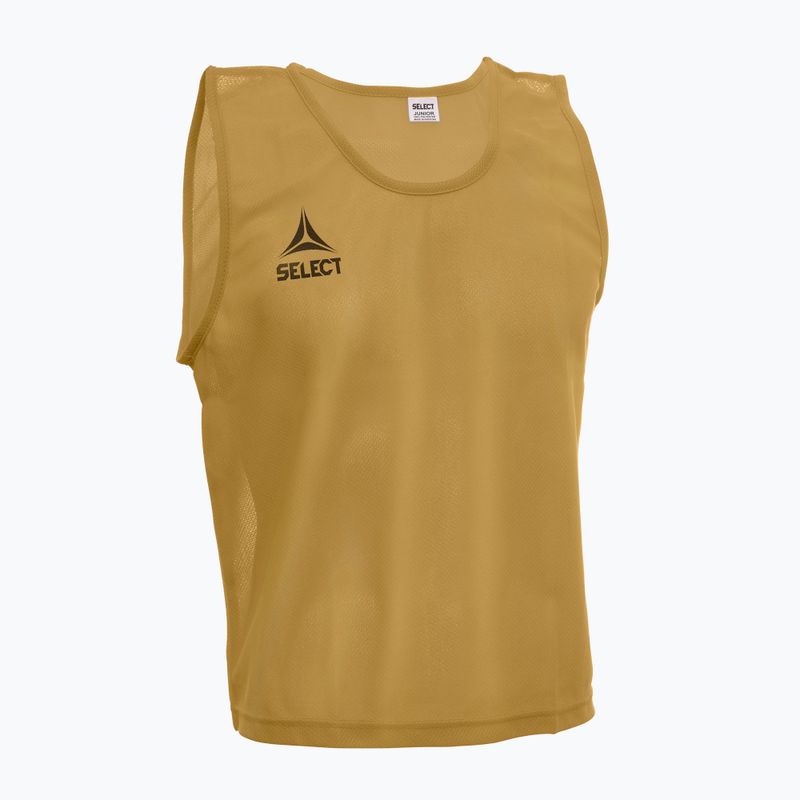 Fußball-Markierung Senior SELECT Basic gold