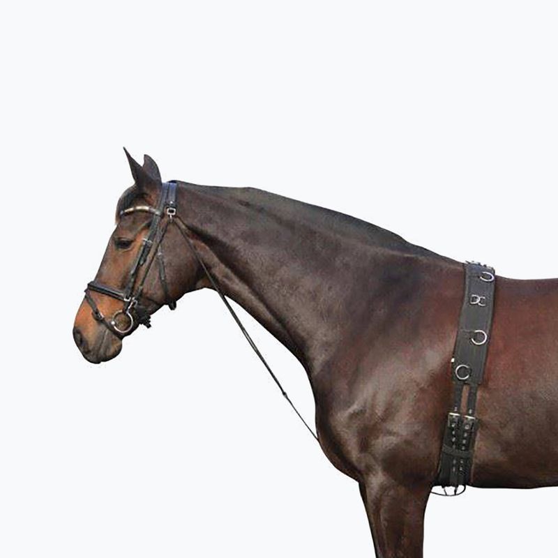 Yorker Pferdeleder Chambone schwarz 180202