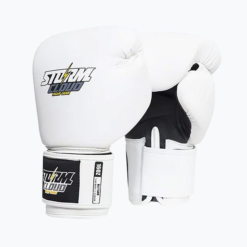 Boxhandschuhe StormCloud Blizzard white/black