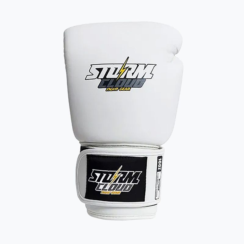 Boxhandschuhe StormCloud Blizzard white/black 2