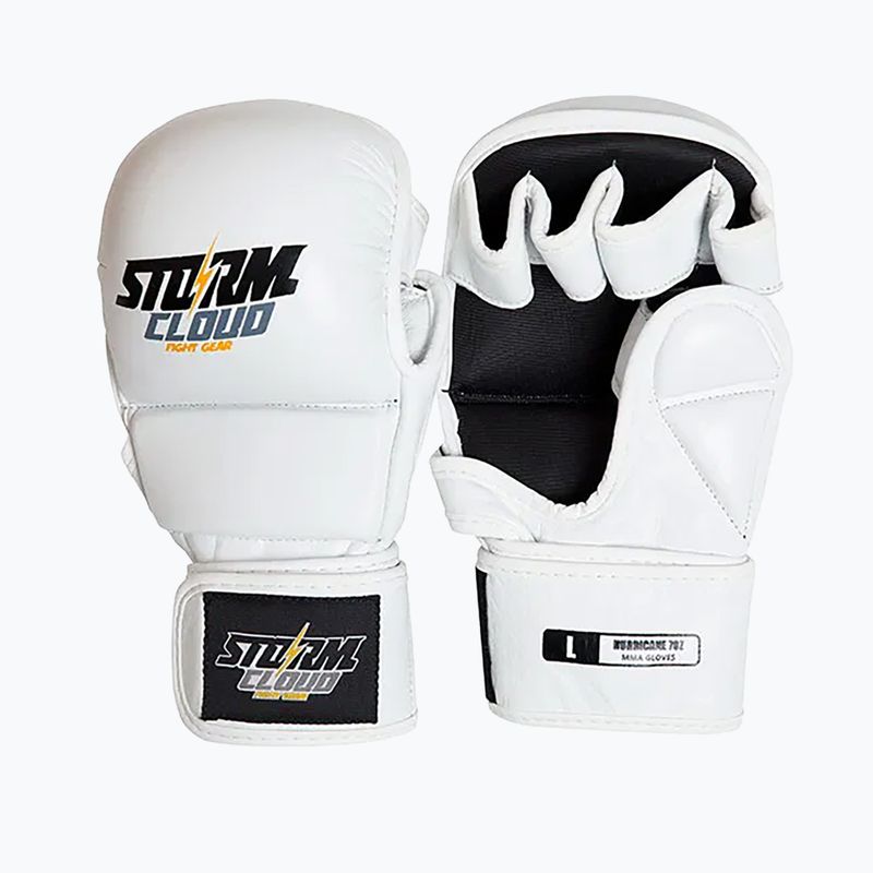 Grappling-Handschuhe StormCloud Hurricane white/black