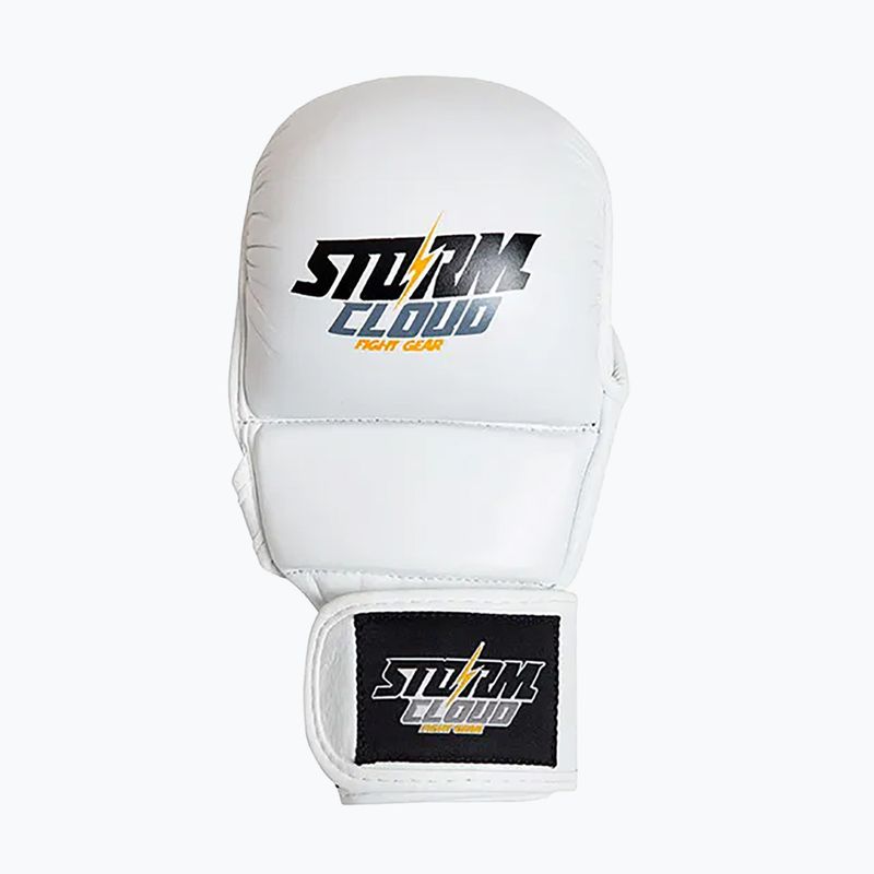 Grappling-Handschuhe StormCloud Hurricane white/black 2