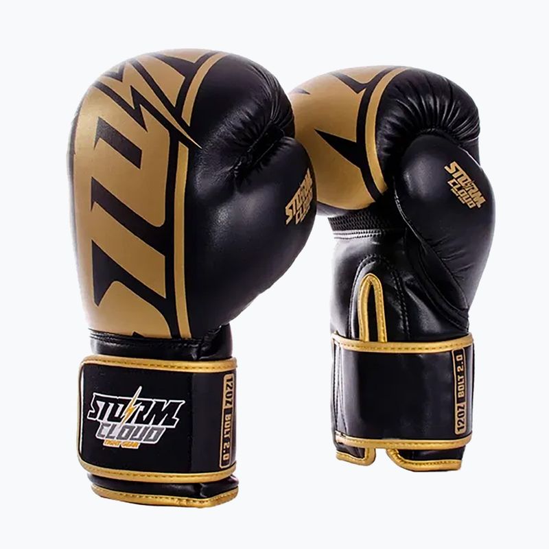 Boxhandschuhe StormCloud Bolt 2 2