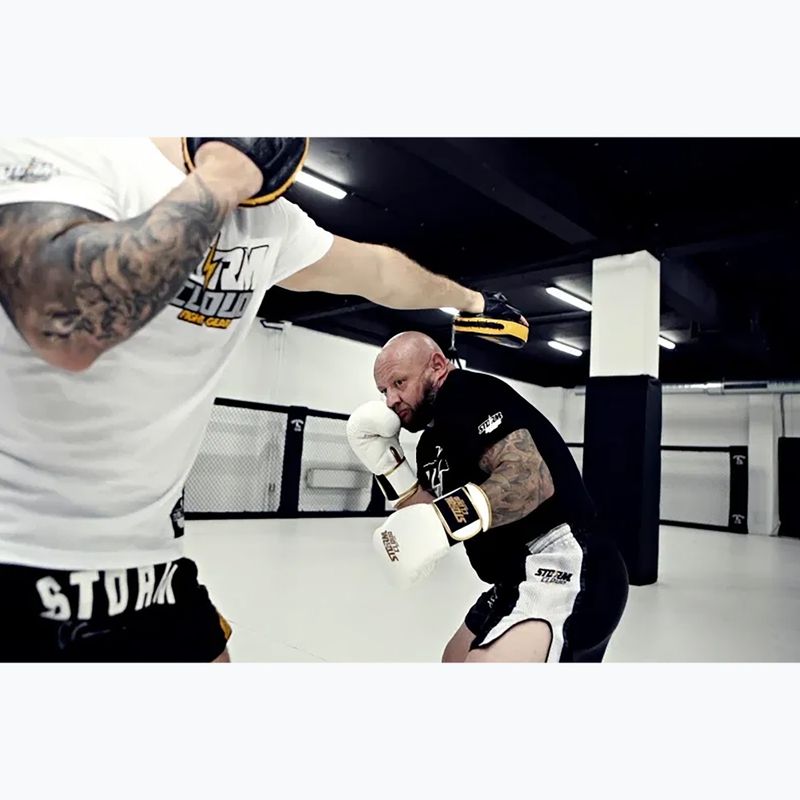 Boxhandschuhe StormCloud Boxing Pro white/gold 8
