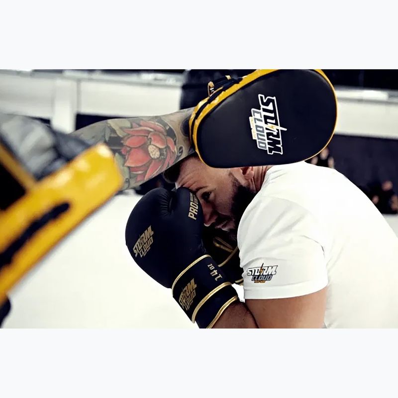 Boxhandschuhe StormCloud Boxing Pro black/gold 14