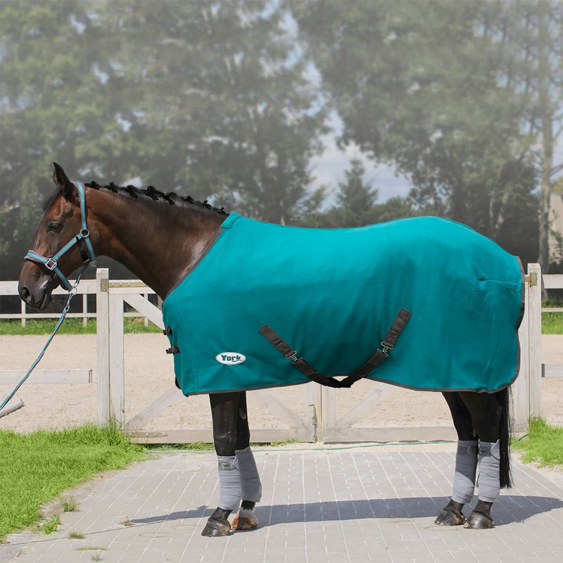 York Ekona türkis gestreifte Fleece Pferdedecke 150940125