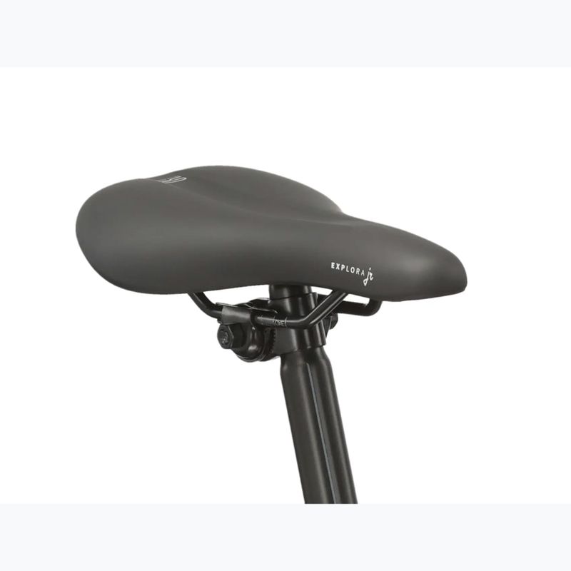Kinderfahrrad KROSS Level Jr 1.0 red/teal/gloss 10