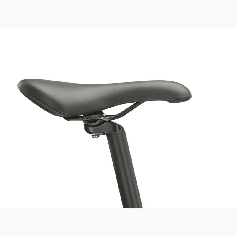 Mountainbike KROSS Hexagon 4.0 EQ 29" silver/green/gloss 13