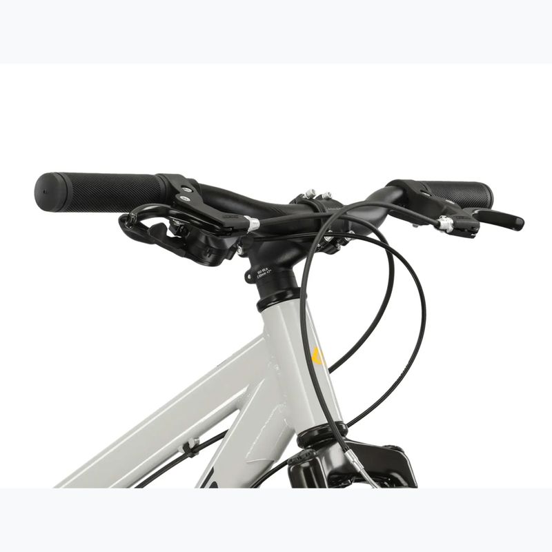 Kinderfahrrad KROSS Dust Jr 1.0 grey/black/gloss 4