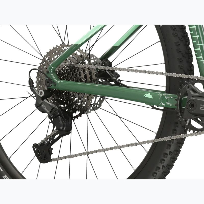Mountainbike KROSS Level 5.0 green/gloss 10