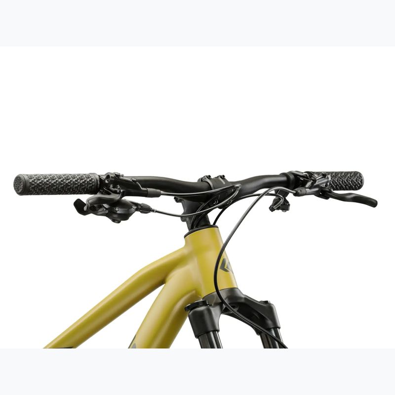 Mountainbike KROSS Level 6.0 brown/graphite/matte 4