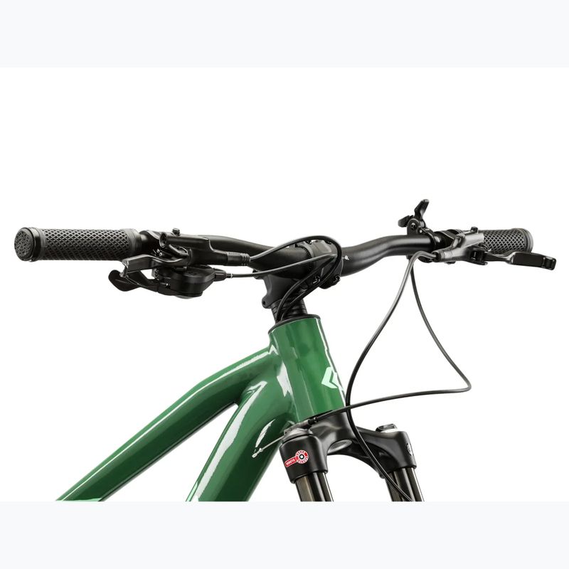 Mountainbike KROSS Level 5.0 green/green/gloss 4