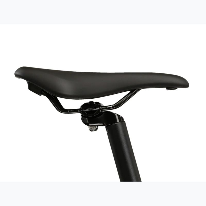 Damen-Mountainbike KROSS Lea 3.0 W 29 white/pink/gloss 12