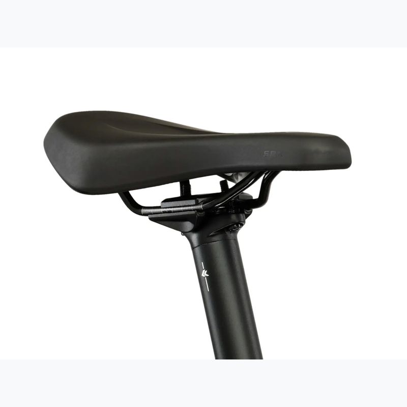 Elektrofahrrad KROSS Influx Hyb 1.0 720Wh green/black/gloss 13
