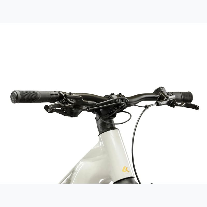 Damen E-Bike KROSS Influx Hyb 1.0 720Wh grey/gold/gloss 4