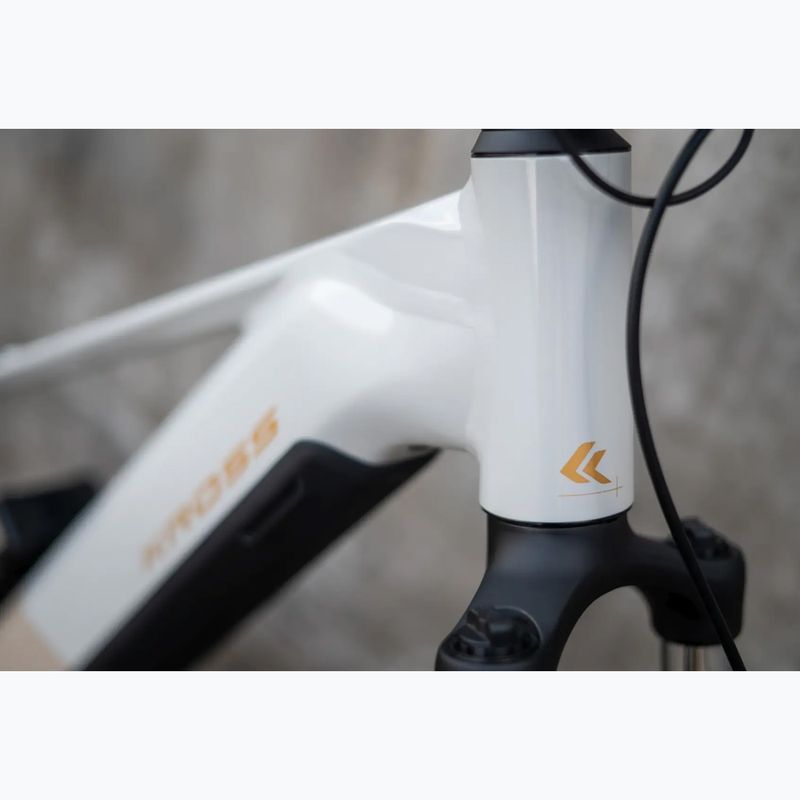 Damen E-Bike KROSS Influx Hyb 1.0 720Wh grey/gold/gloss 16