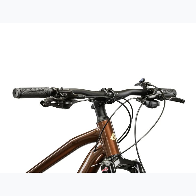 Mountainbike KROSS Hexagon 5.0 27.5" brown/gold/gloss 4