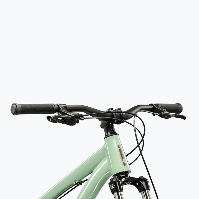 Dirtbike KROSS Spade 1.0 green/silver/gloss 4