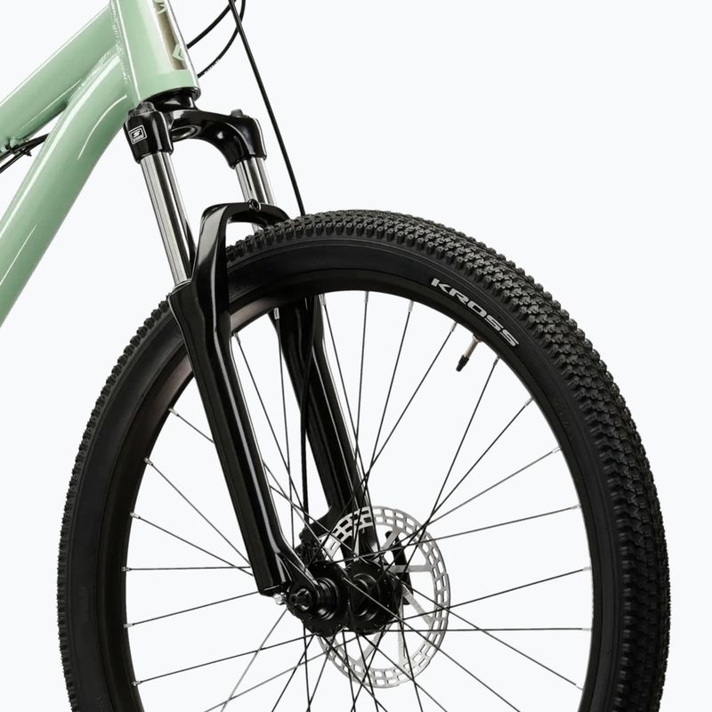 Dirtbike KROSS Spade 1.0 green/silver/gloss 6