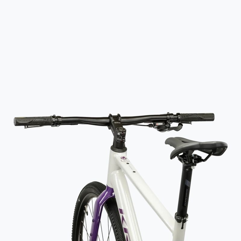 Gravelbike KROSS Esker 1.0 FL grey/purple/gloss 4
